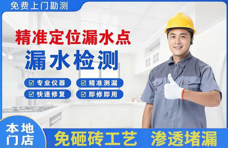 大观精准测漏点